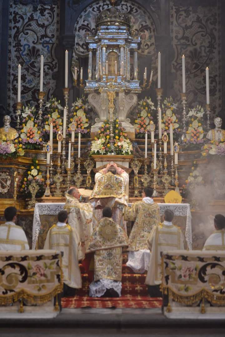 6E5E4AB6-DCB5-4AE3-A16D-3DA0A4C8E4B1