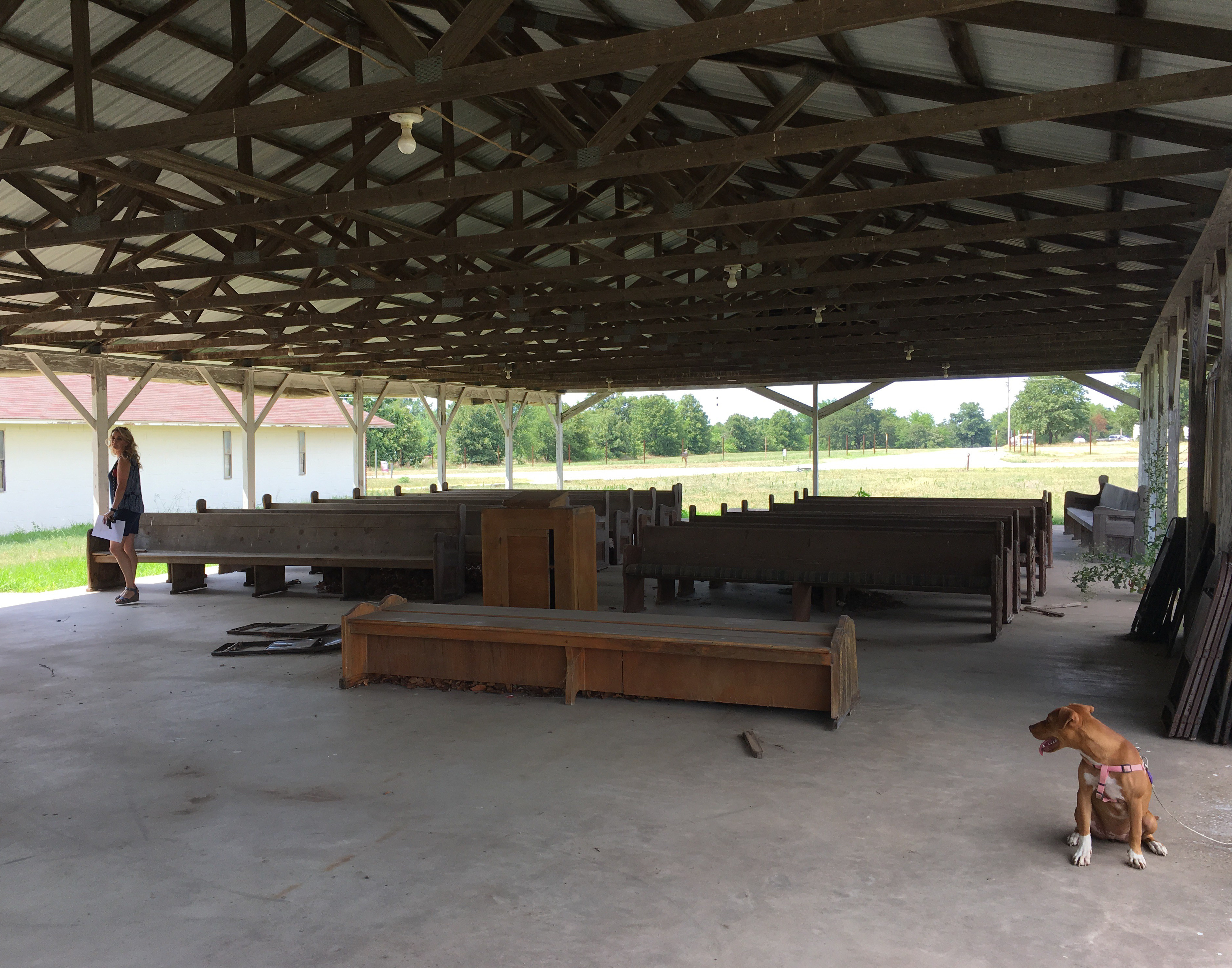 A6FE88F6-7028-4E56-8288-A38DE7979C1E