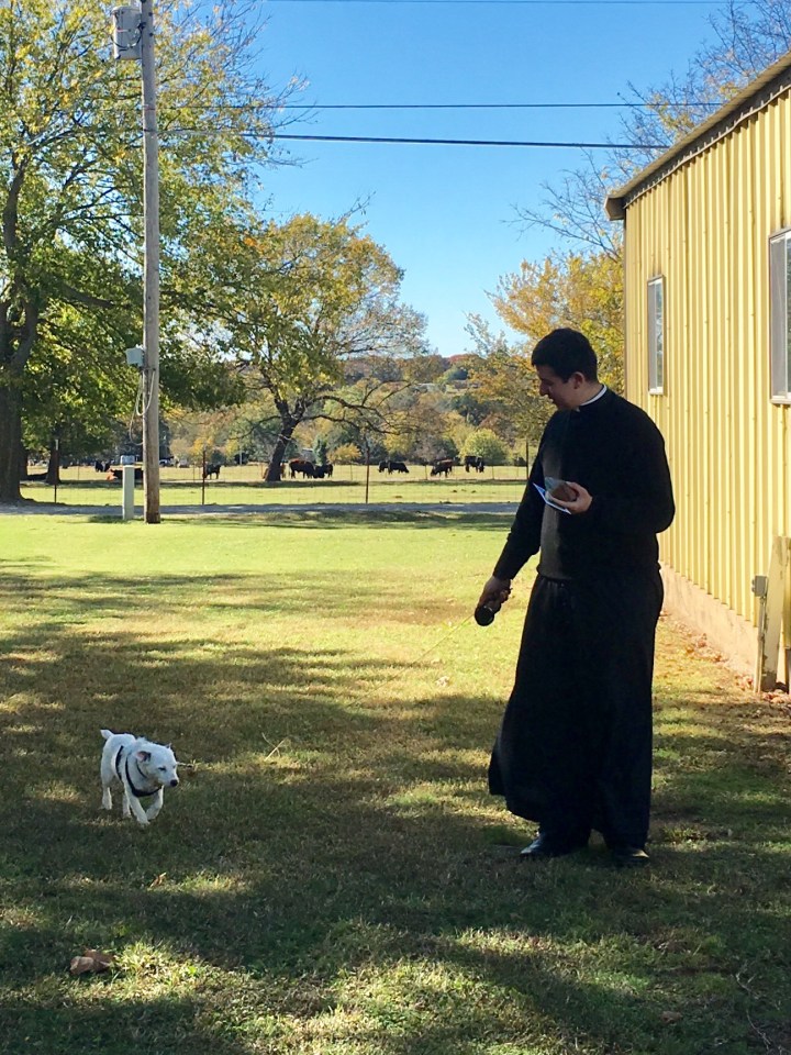 9405AB5C-127B-40AC-BF9C-4D7AEB7A6872