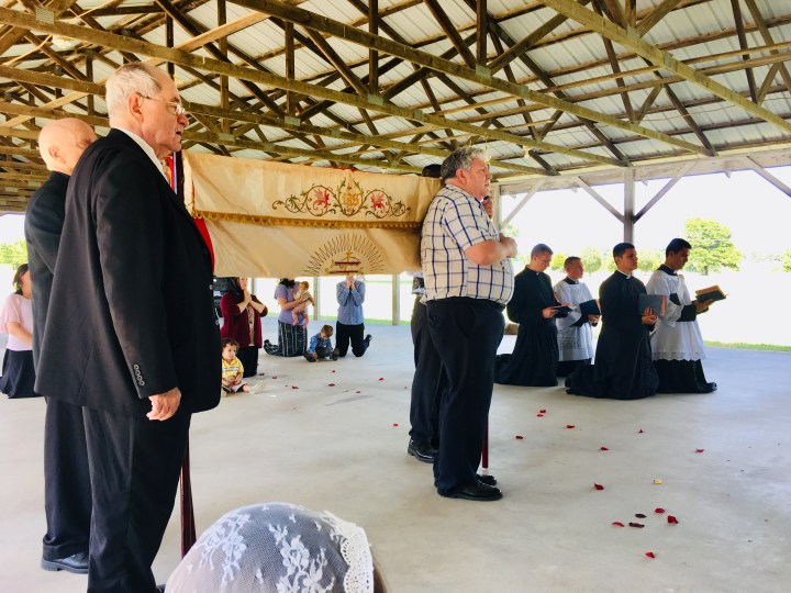 17AE8799-4EF2-407E-B28E-A4081FB637FC