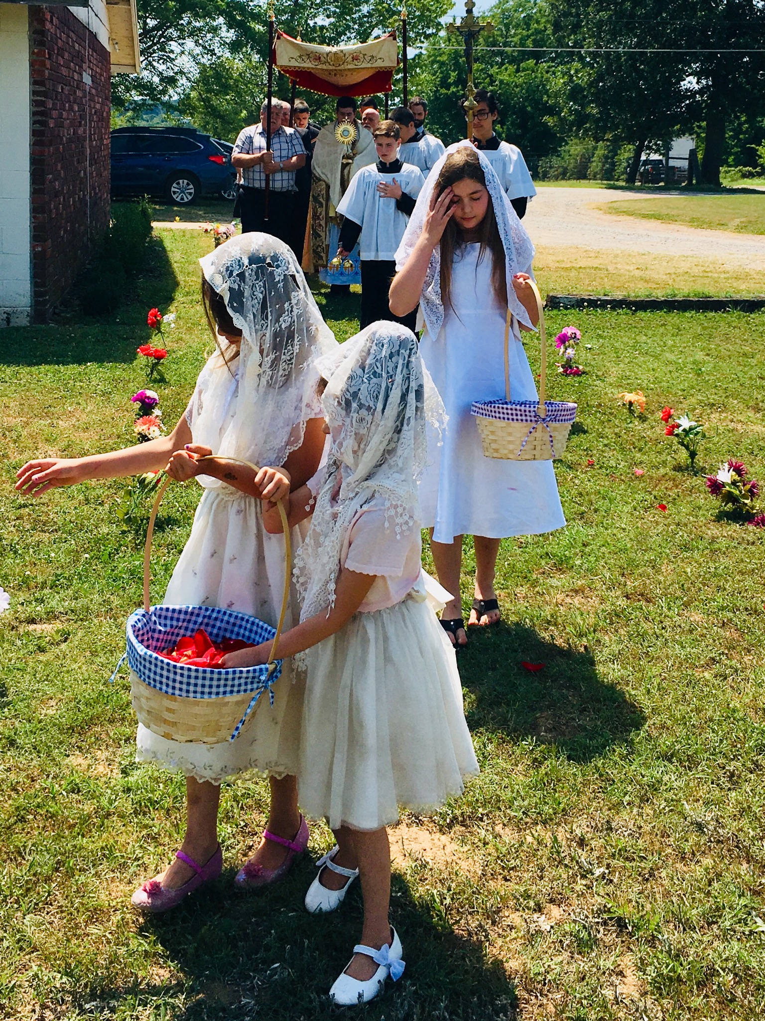 C7AD74F3-EFF9-44DF-A870-616B56500330